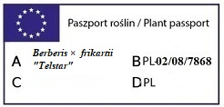 Paszport Berberys TELSTAR