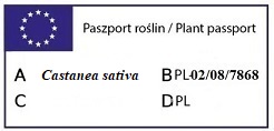 Paszport JODŁA KOREAŃSKA_1