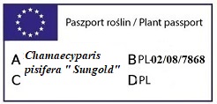 Paszport SUNGOLD